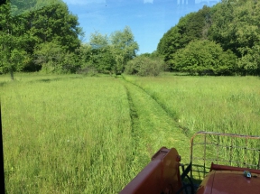 Trail maintenance