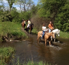 Trails river crop