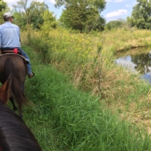 trail-ride